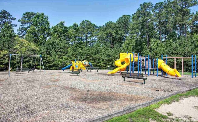 Community playground - 208 Martins Point Pl