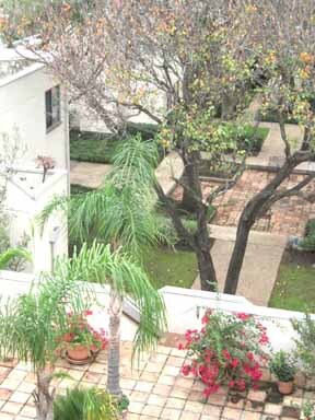 Vista del centro de Gardens desde la terraza del tercer piso - 402 Tuam St