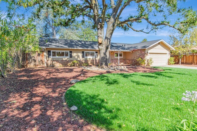 Building Photo - Fabulous 3BR 2BA Single Family Los Altos Home