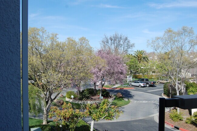 Photo - 930 Owens Lake Dr Apartment