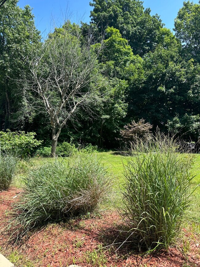 Foto del edificio - 14 Cedar Ln