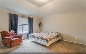 Foto del edificio - 2704 Mountain Lion Dr