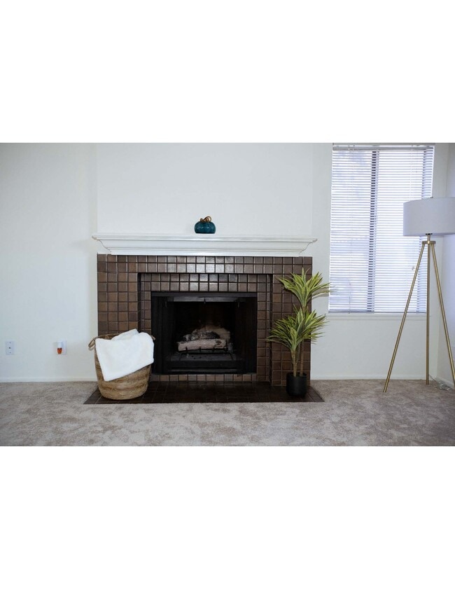 Cozy Fireplace - 1718 Sinaloa Rd