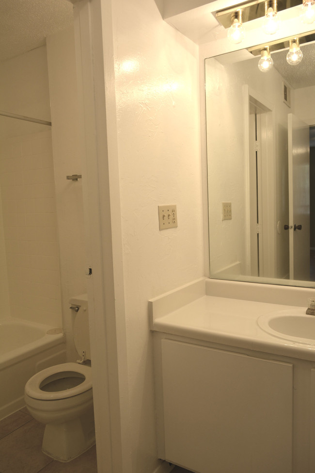 1 Bedroom Loft Bathroom - Parkview Apartments