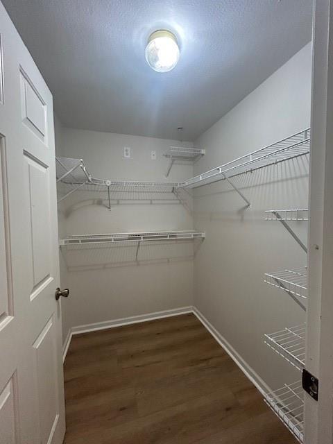 Foto del edificio - 1704 Frederica Rd