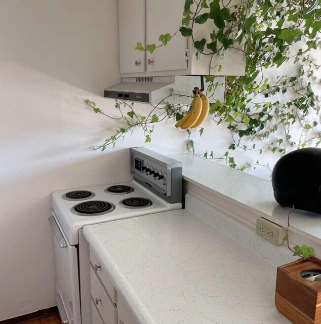 Foto del edificio - 1 bedroom in Fort Collins CO 80524