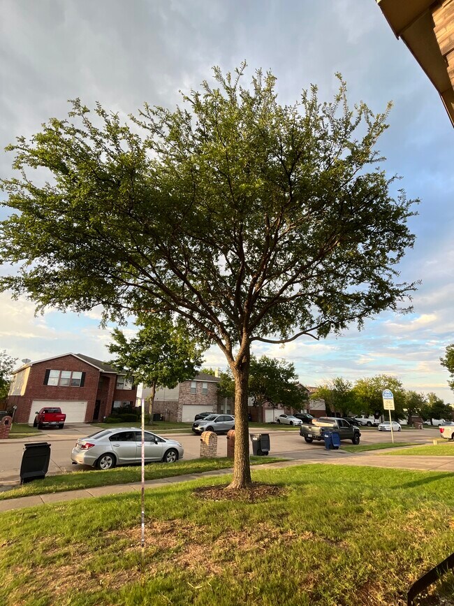 Foto del edificio - 2545 Brinlee Branch Ln