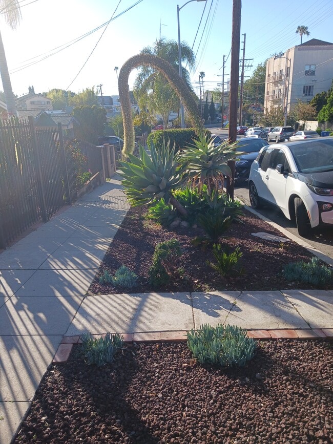 Front sidewalk landscaping - 3606 Bellevue Ave