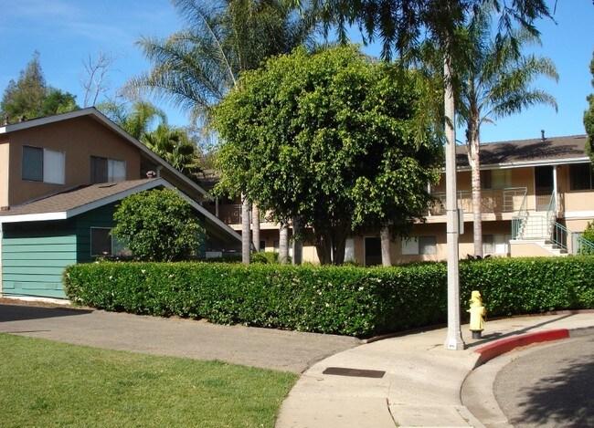 Building Photo - Sheila Apartments