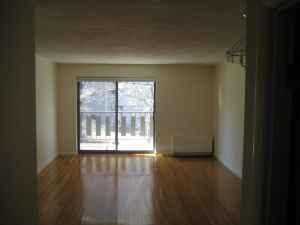 Foto del edificio - 2 bedroom in Brookline MA 02446