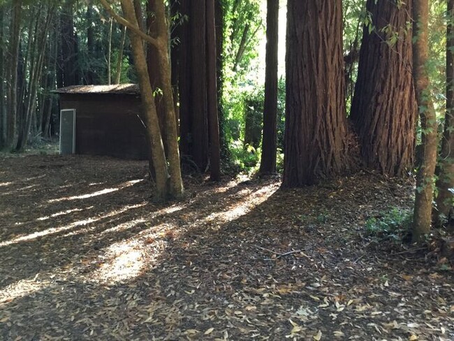 Building Photo - Come home to Cazadero