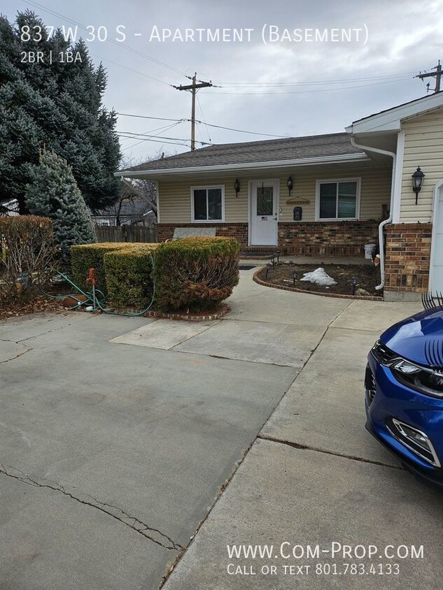 Primary Photo - New Paint & Carpet 2 Bedroom Basement Apt ...