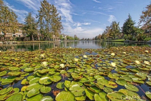 Building Photo - 5 Woodspring Cove