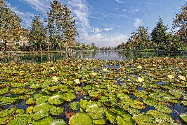 Foto del edificio - 5 Woodspring Cove