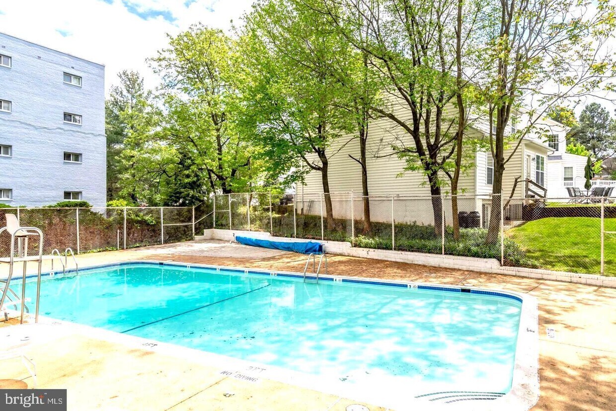 3701 5th St S Unit 308, Arlington, VA 22204 Room for Rent in
