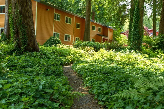 Walking Trail - Evergreen Rock Maple Apartments
