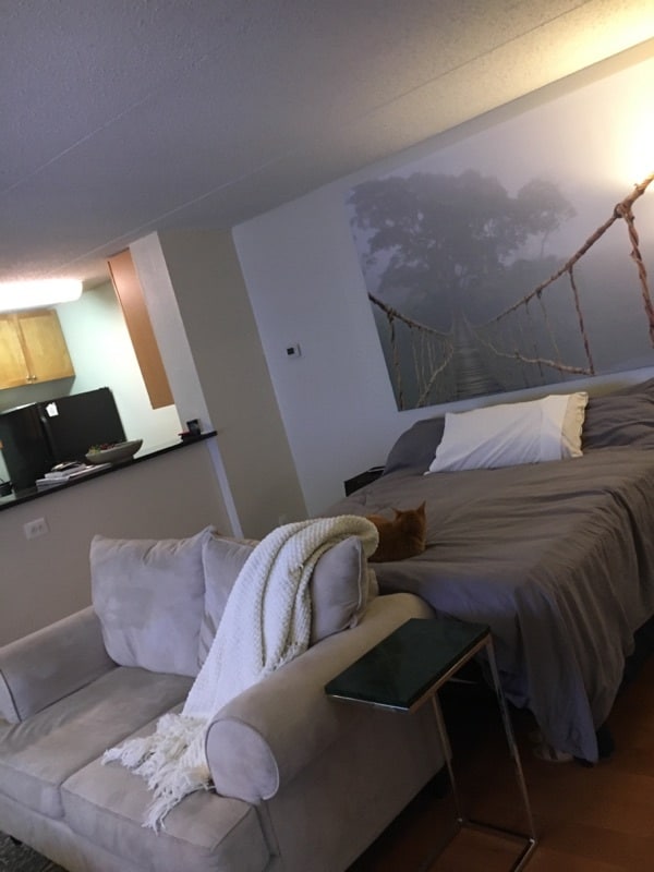 Liv/sleeping area - 75 S Reynolds St