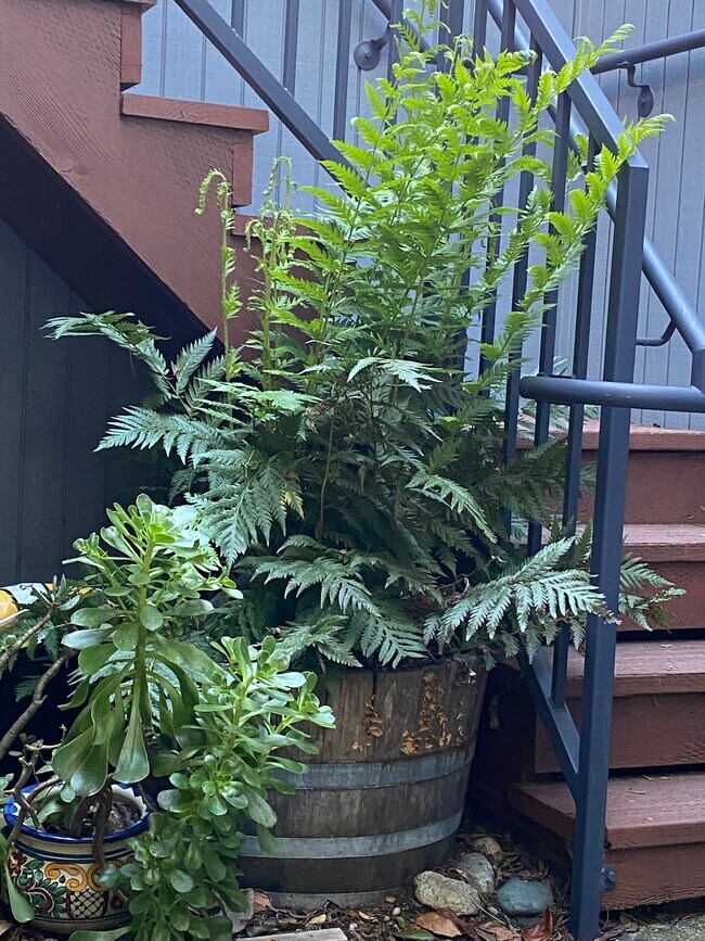 Back Stairs - 17 Deuce Ct