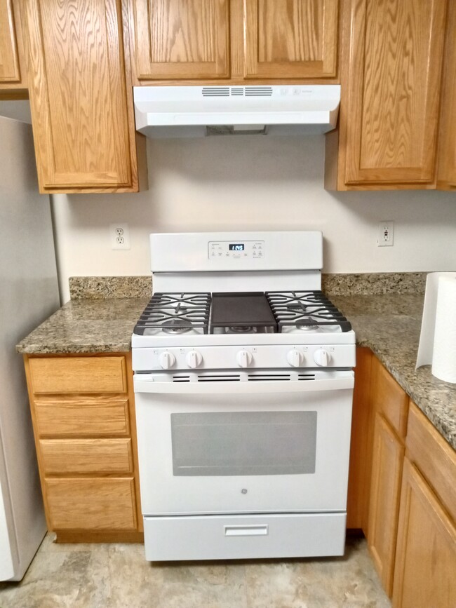 Kitchen - 1009 Jeanett Way