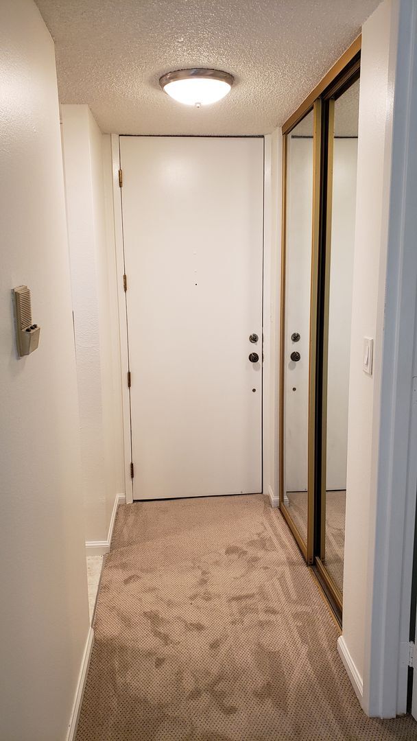 Building Photo - Cozy Studio Condo Available Now at Shelter Creek!