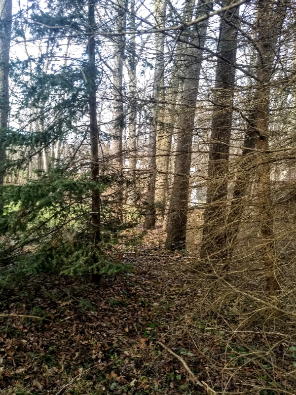 Building Photo - 16351 Petro Dr