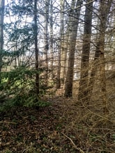 Building Photo - 16351 Petro Dr