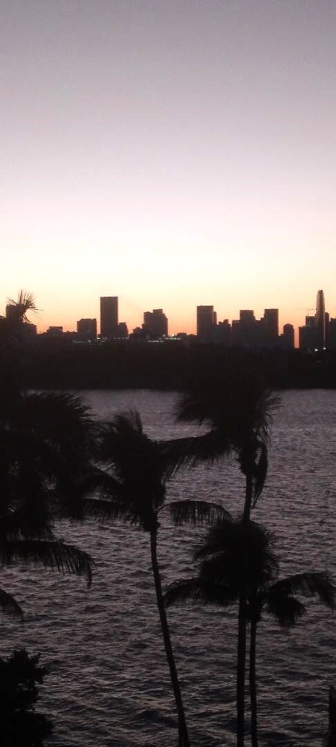 Vista desde el balcón - 800 West Ave