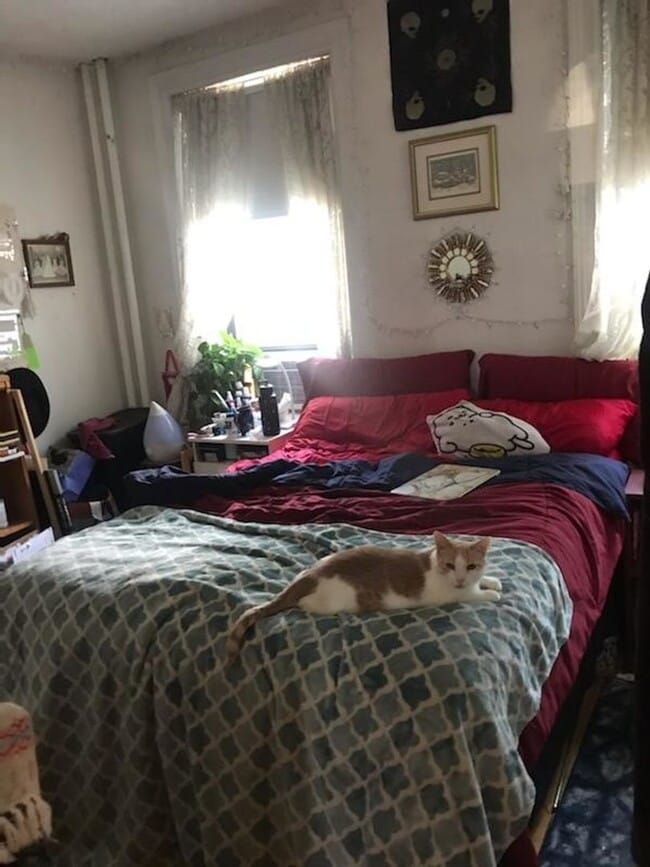 Building Photo - Huge 4 bed in Allston