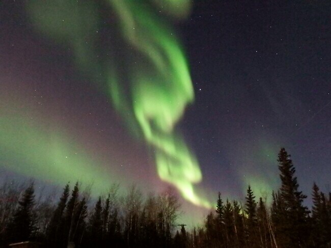 A photo of the northern lights that I captured from the back deck. - 1711 Clearwater Road Unit D
