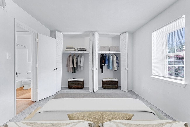 closet view - Forest Hill