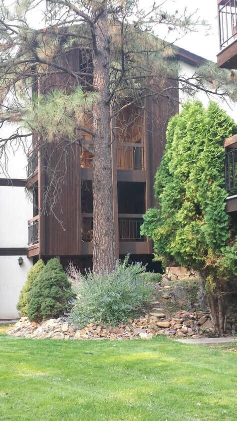 Primary Photo - 1101 W Greenough Dr