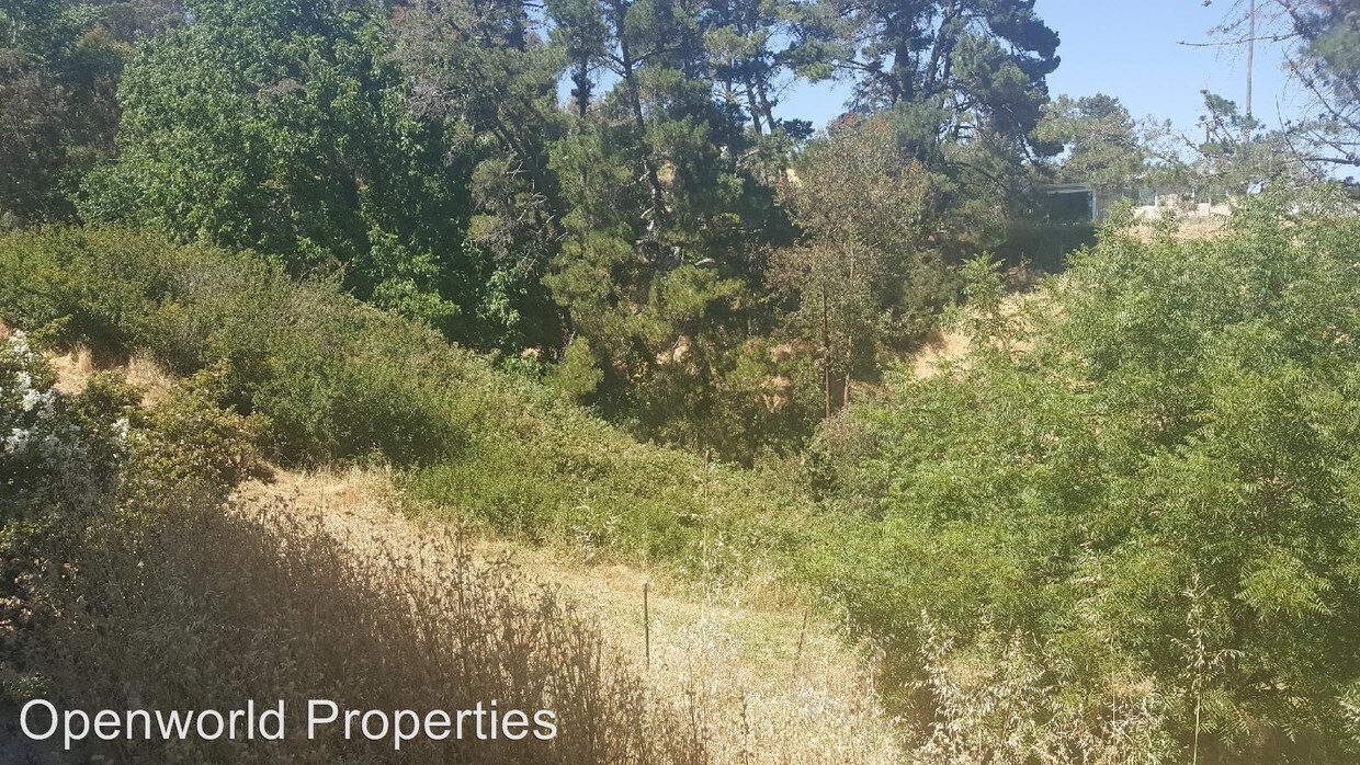 Building Photo - 3 br, 2 bath House - 632 La Paloma Rd