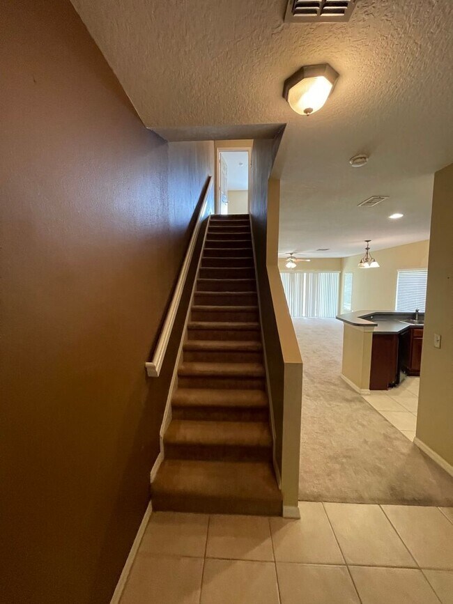 Foto del edificio - 20424 Needletree Dr Tampa, FL 33647