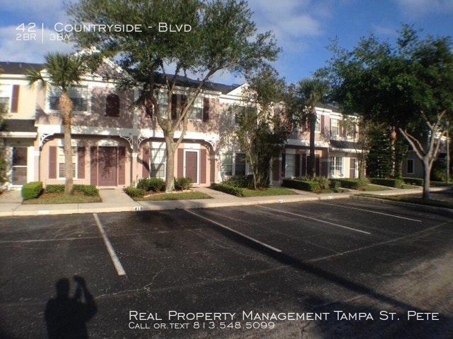 421 Countryside, Oldsmar, FL 34677 Townhouse for Rent in Oldsmar, FL