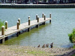 Building Photo - 18617 Egret Bay Blvd