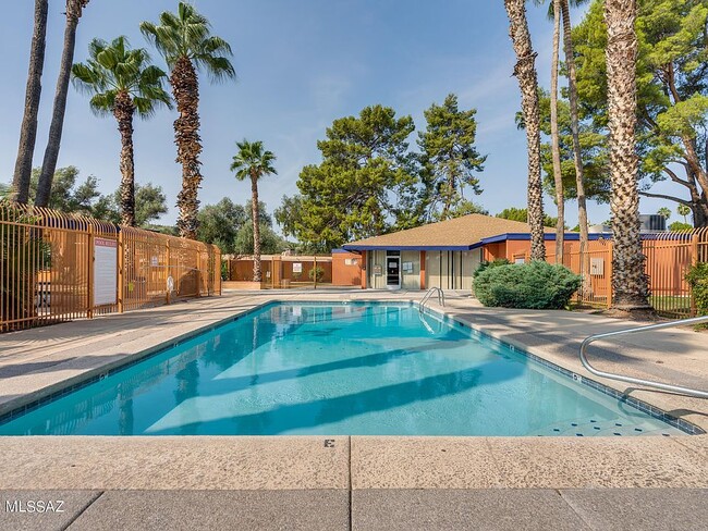 Large pool and spa - 350 N Silverbell Rd