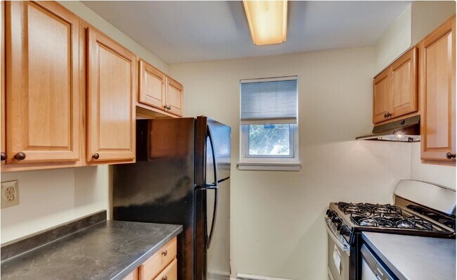 Kitchen - 4412 Falls Bridge Dr