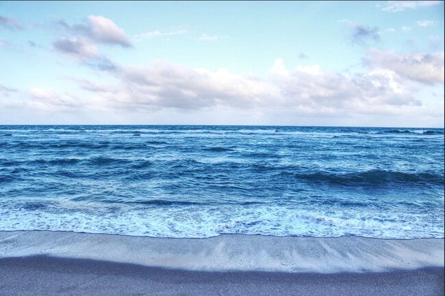 Building Photo - 324 Van Buren St