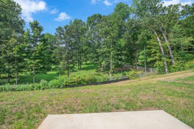 Building Photo - 1025 Curly Top Ln