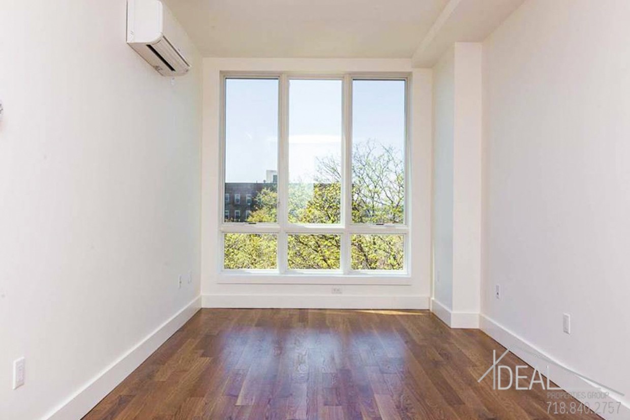 Primary Photo - NO FEE New Luxury 2 Bedroom on Ocean Parkway