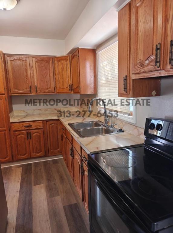 Foto del edificio - 32139 Balmoral St