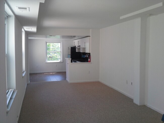 Open Livingrom/Kitchen - 1132 Mount Vernon St