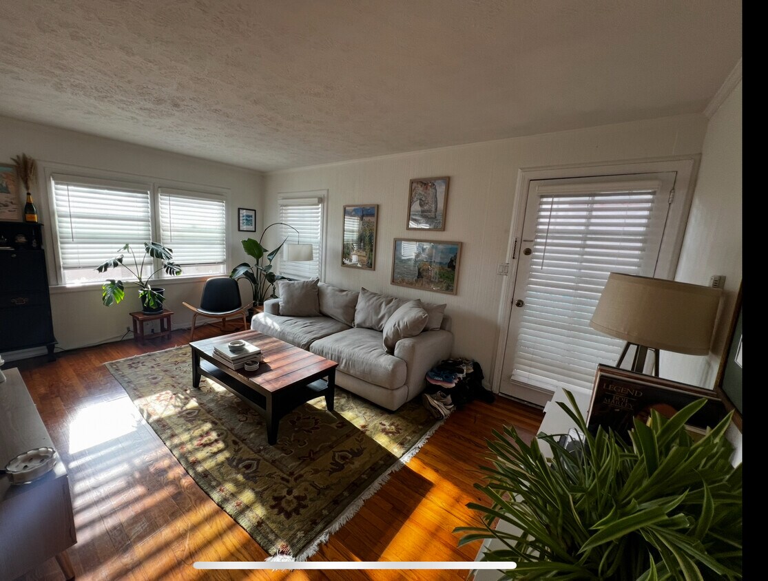 Foto principal - 224 Palm Dr