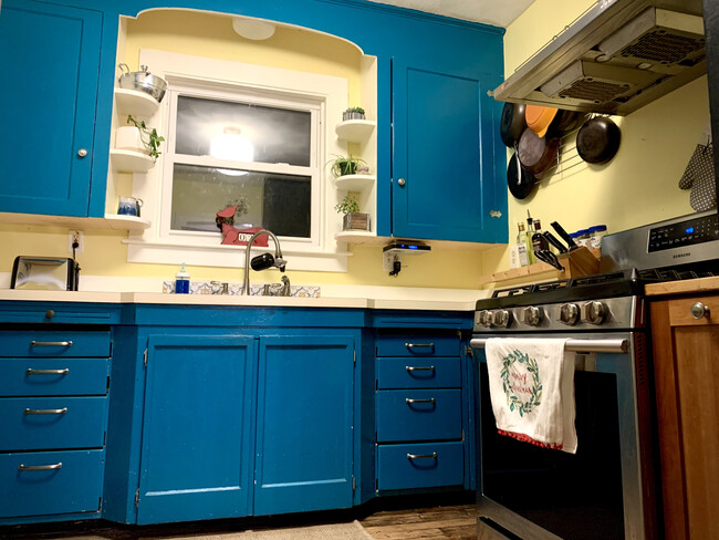 Bold, efficient kitchen - 9 Hancock St