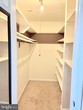 Primary Photo - 5021 Green Mountain Cir