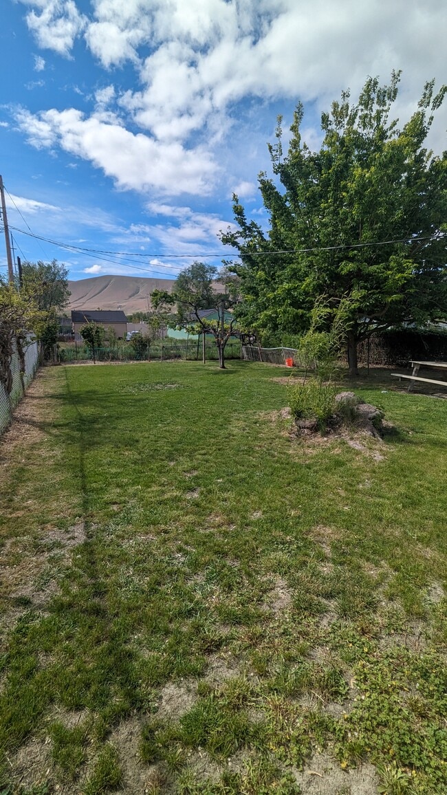 Building Photo - 1007 Della Ave