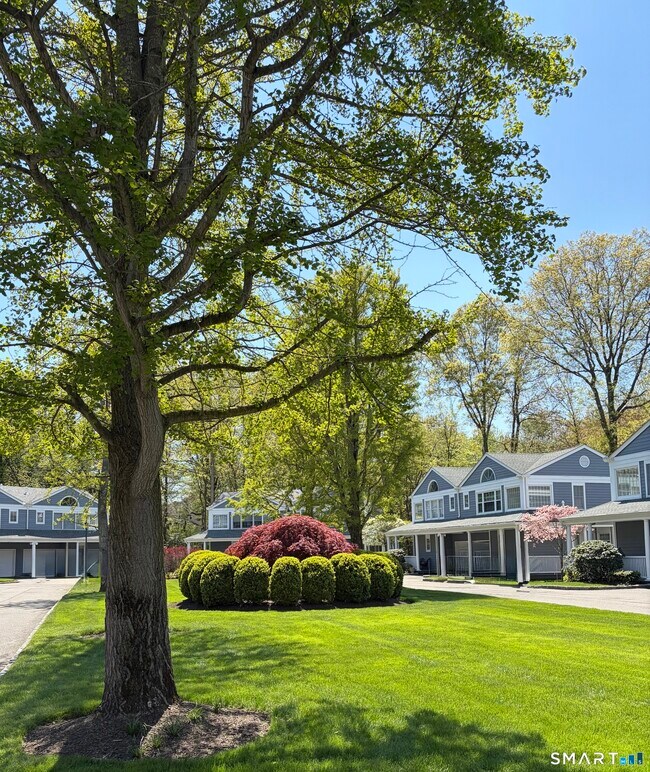 Foto del edificio - 230 Saugatuck Ave