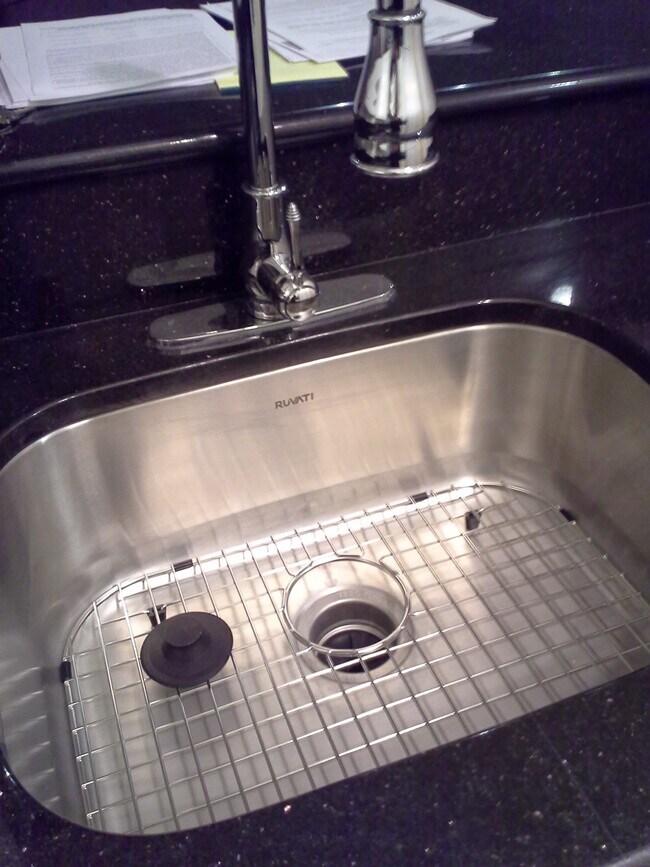 Kitchen Sink - 350 Briarcrest Dr