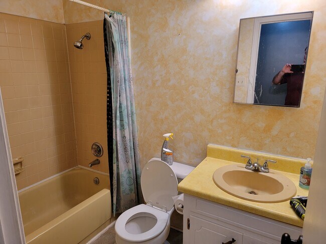Bathroom 1 - 15607 Peace Valley Rd