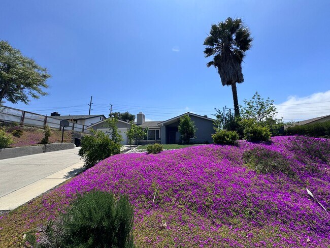 Foto del edificio - Single Story 3 bedroom house in Temecula